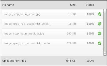 Plupload Integration Module