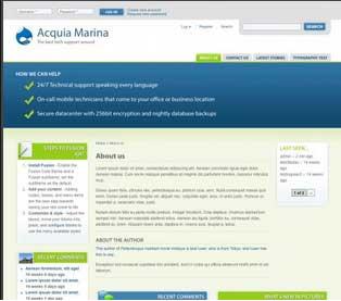 Preview of Acquia Marina theme